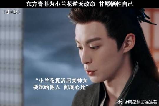 东方青苍真的爱惨了小兰花！