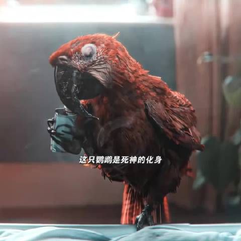 母亲不想让死神把女儿带走 情急之下她这样做