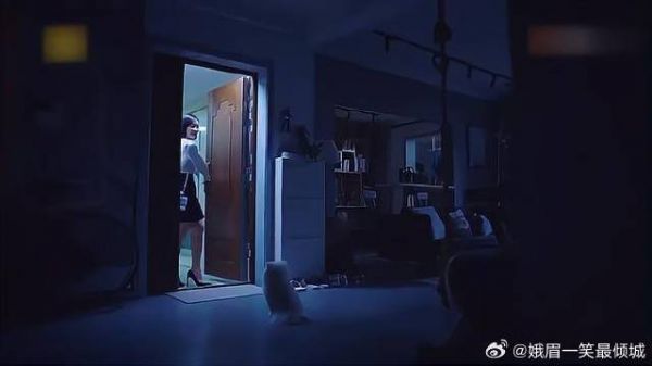繁星来接狗，谁料前任爸爸来了，场面一度尴尬！