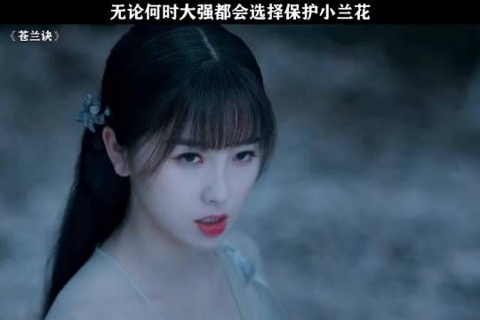 长珩一次次退让，终让小兰花爱上东方青苍