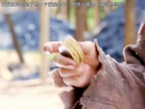 人家一开始的预言就是郑儿，是杨雪舞抢了这个王妃位置