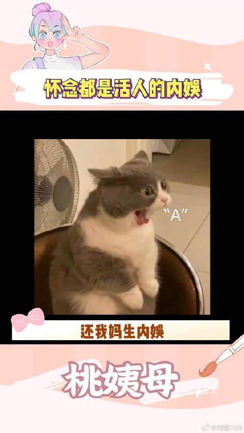 王俊凯 张云龙 微博VC计划微博VC计划
