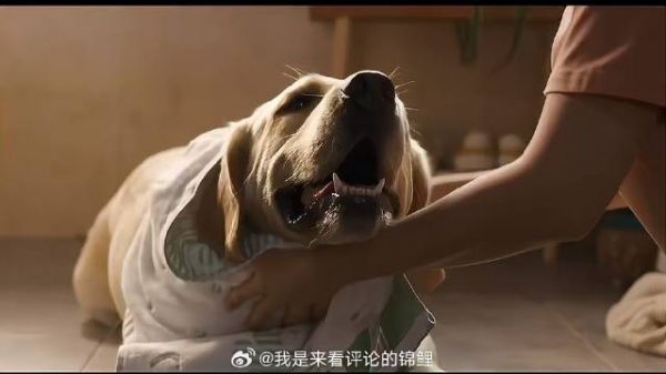 活在回忆里的吴出现 可乐凭自己实力，获得能回家的权利