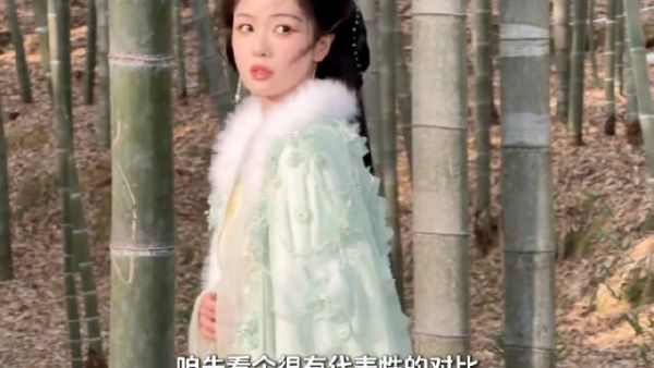 为什么白鹿一演绝世美人就翻车，真的单单是长相的问题 ！