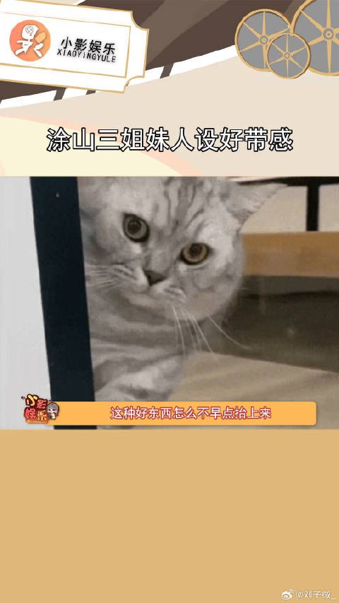 我真的会爱死涂山三姐妹！狐妖小红娘月红篇