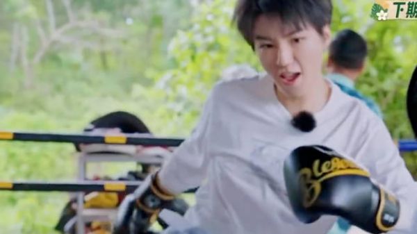 王俊凯新综艺打泰拳，拳风刚健全网直呼好猛