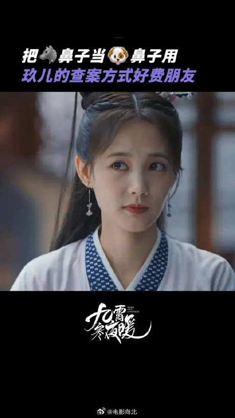 玖儿案子办的挺好，就是有点儿费朋友了吧