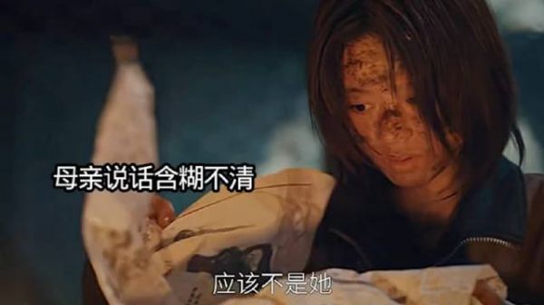 退休警察秘密调查失踪女孩苏琳的去向，结果差点出事