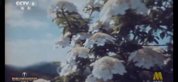 刘浩存红裙跳舞，歌声寻找金花