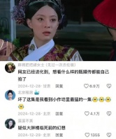 甄嬛传顶楼版