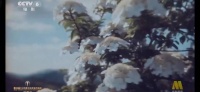 刘浩存红裙跳舞，歌声寻找金花