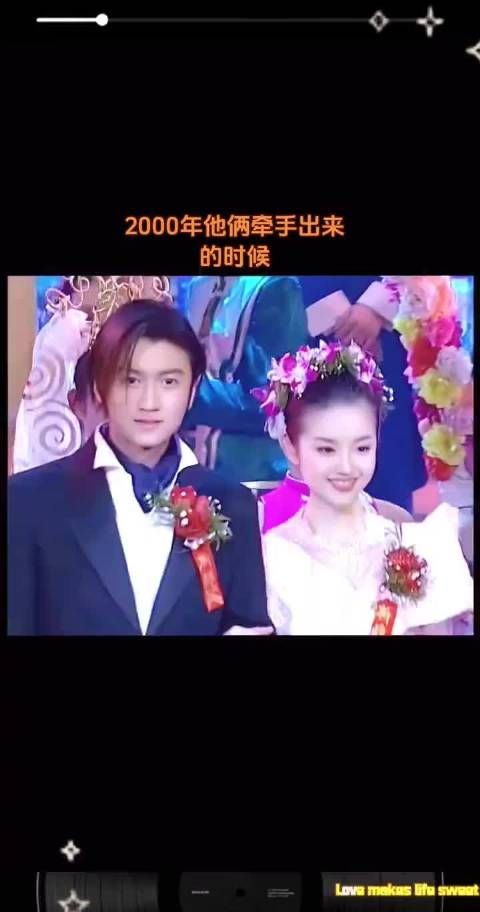 谢霆锋当年到底有多帅？
