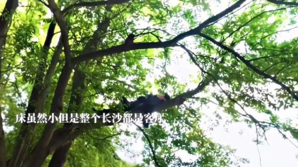 九门｜陈皮阿四活那么久的原因找到了