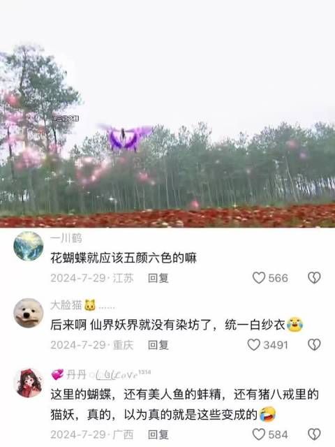 以前觉得她真的是蝴蝶，化成人的时候太惊艳了