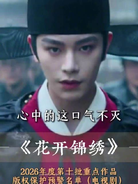 一起为国产电视剧加油