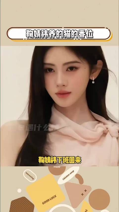 原来鞠婧祎的猫有属于自己的番位！