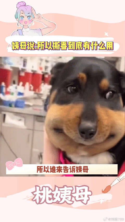 王珞丹 桃姨母的嗑糖基地