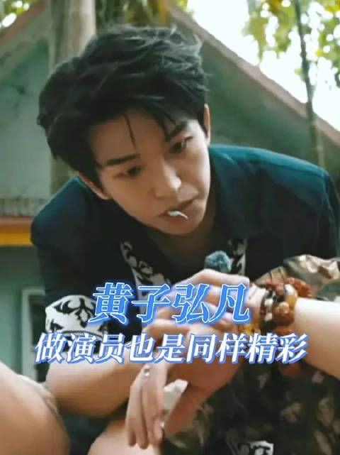 这个黄子弘凡做演员也是同样精彩