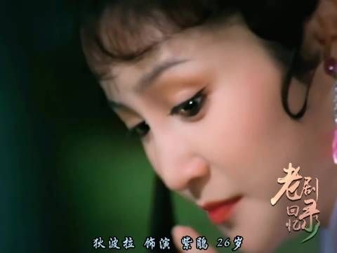本来觉得狄波拉已经够美了，当林青霞出现的时候还是被美一跳！