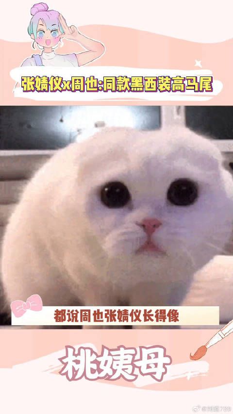 周也 桃姨母的嗑糖基地