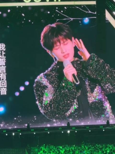 拼盘盛典仿若成毅个人演唱会成毅绿海
