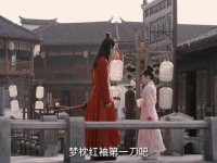 “你明明身负绝世武功，为何甘愿随他们离去？”