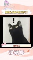 张天爱 孙怡 微博VC计划微博VC计划