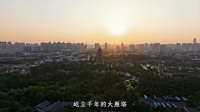 新华社关注！寻诗入长安