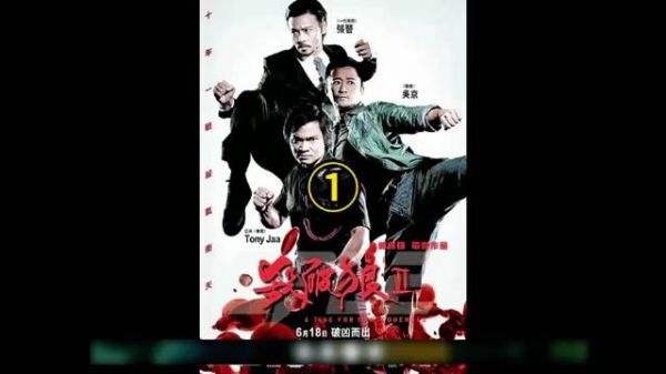 战狼冷锋,在缅北的铁网中挣扎,他的勇敢与智慧,如同烈火中的凤凰,永不熄灭