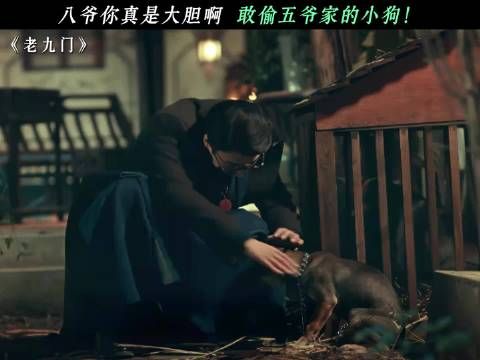 八爷你真是大胆啊，敢偷五爷家的小狗！张启山 剧集