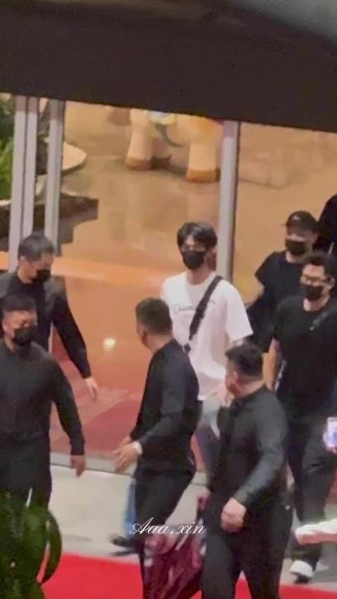 张凌赫参加微博奇遇记活动，捕捉到一直在找粉丝的小猫，怎么那么可爱