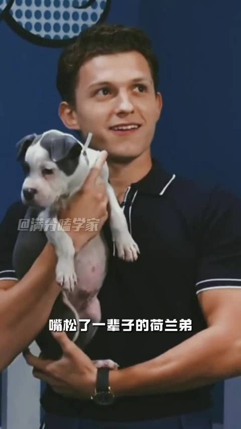 荷兰弟英国庄园办三天婚礼，保密级别高于复联拍摄