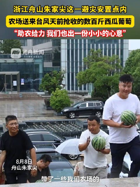 白海豚登陆间隙，朱家尖农场主送西瓜葡萄到安置点