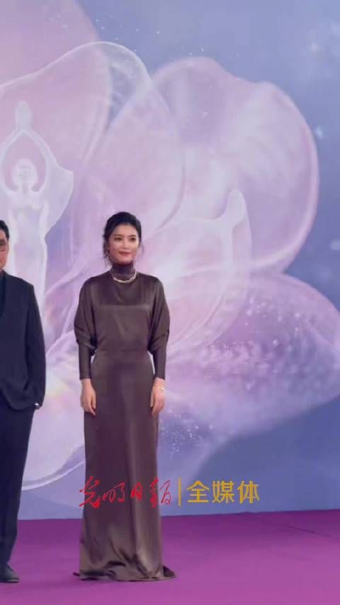 李云霄亮相百花奖提名表彰仪式红毯