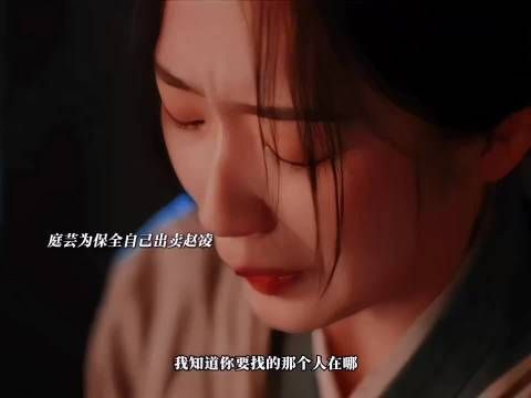 赵凌被仇家追杀，庭芸不顾危险保护赵凌