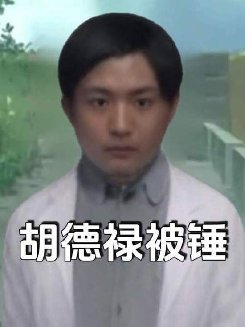 胡德禄这回可真被“锤”实了