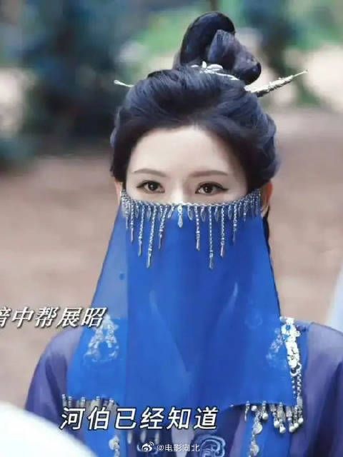 掌月使一直在暗中帮展昭