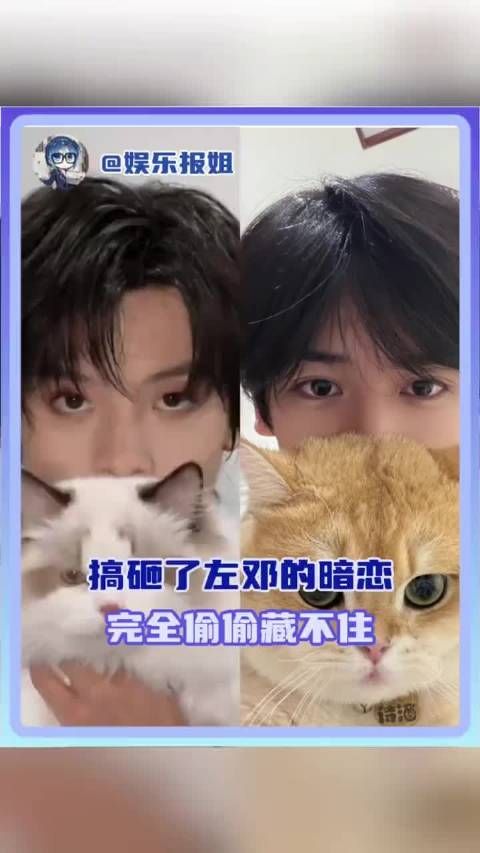 左邓对不起搞砸了你们的暗恋、左邓、左航邓佳鑫、时代峰峻