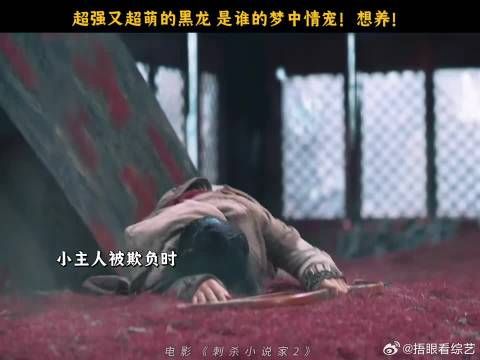 不掉毛又能提供情绪价值的宠物，是谁想狠狠领走了？！