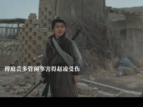 傅庭芸多管闲事害得赵凌受伤