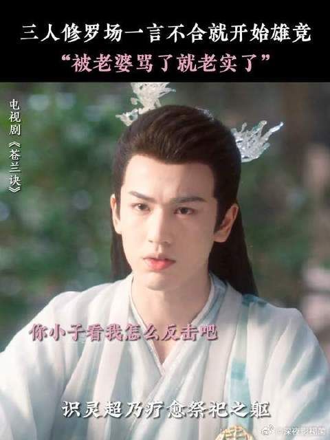 小兰花：你们不要再打啦！