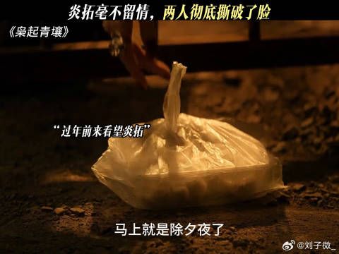 炎拓毫不留情，两人彻底撕破了脸 #枭起青壤