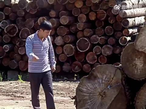 “小伙靠口水分辨红木,竟意外收获月薪3w的工作!”