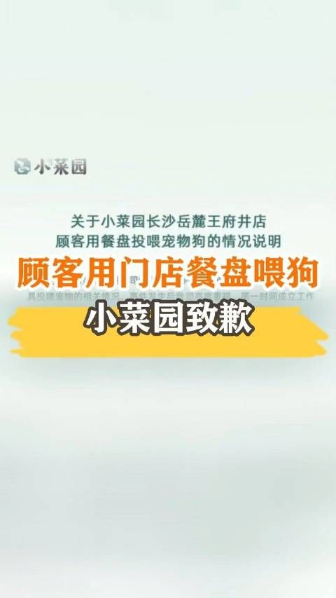 顾客用门店餐盘喂狗，小菜园道歉：涉事时段餐费全退，十倍补偿