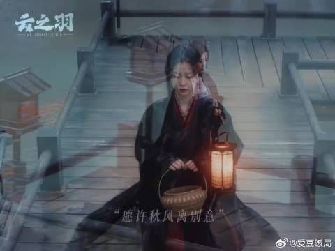 衫姐走的每一步，都踩在了心巴上