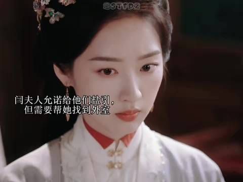 傅庭芸和赵凌帮助闫夫人找到外室，成功拿到盐引文牒， 花开锦绣
