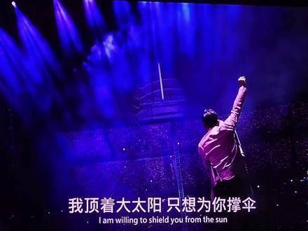 我迎着烈日灼灼，一心只为你遮阳挡光