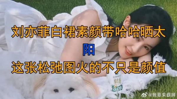 刘亦菲白裙素颜带哈哈晒太阳，这张松弛图火的不只是颜值