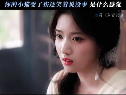 伤在二十七身上，疼在明意心里 入青云