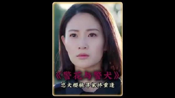 警犬樱桃带伤归来，终与主人团聚，那刻感动全场泪目